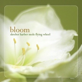 Bloom