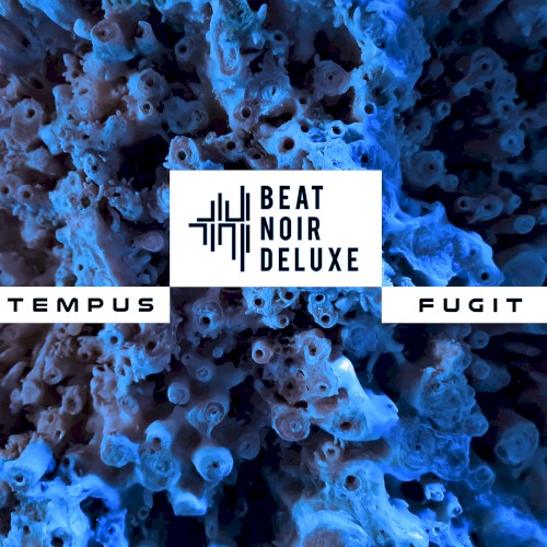 Tempus Fugit