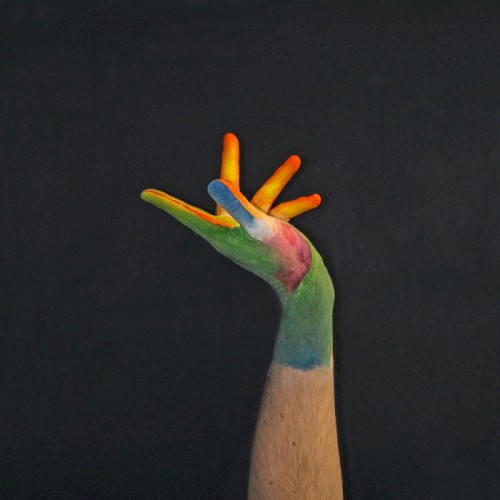 Bird of Paradise