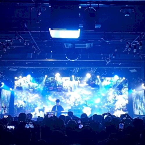 Live at Digital Dawn