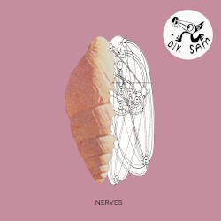 Nerves