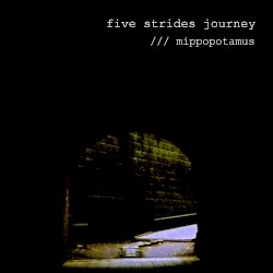 five strides journey
