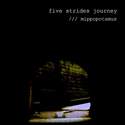 five strides journey