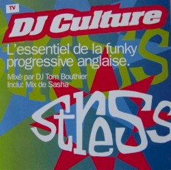 DJ Culture