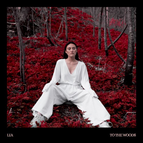 To the Woods