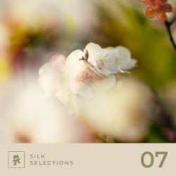 Silk Selections 07