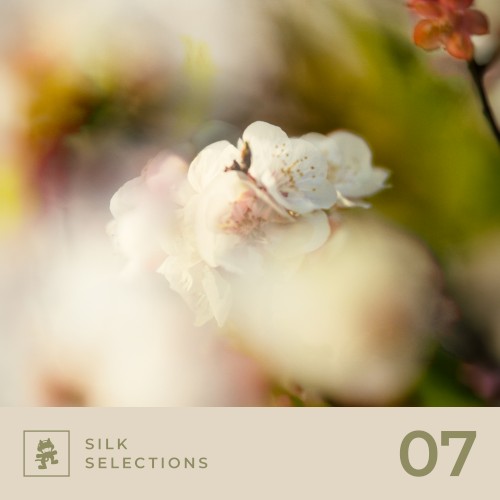 Silk Selections 07