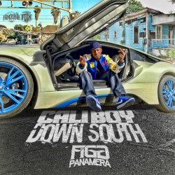 Cali Boy Down South