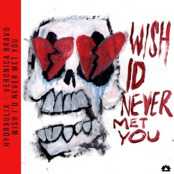 Wish I’d Never Met You