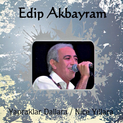 Yapraklara Dallara