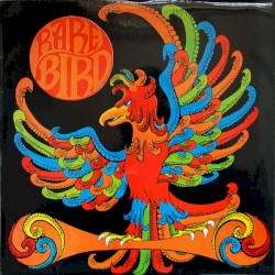 Rare Bird