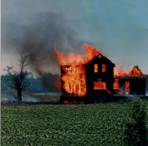 Fibsville