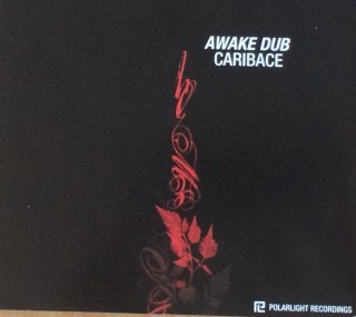 Awake Dub