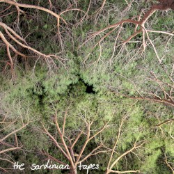 The Sardinian Tapes
