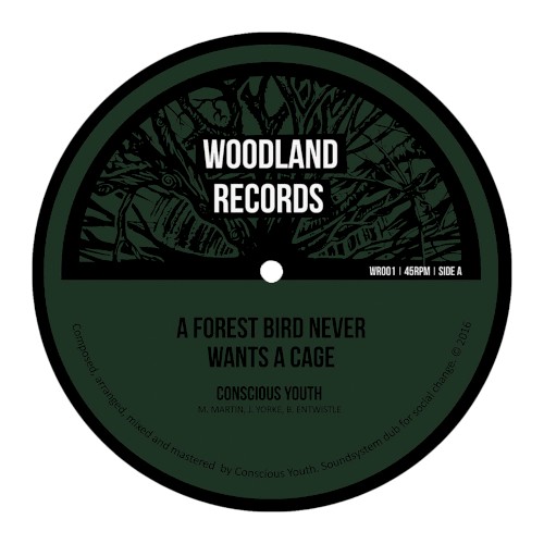 A Forest Bird Never Wants A Cage