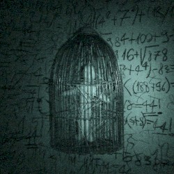 P4R4N01D