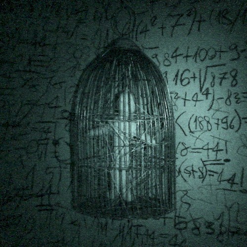 P4R4N01D