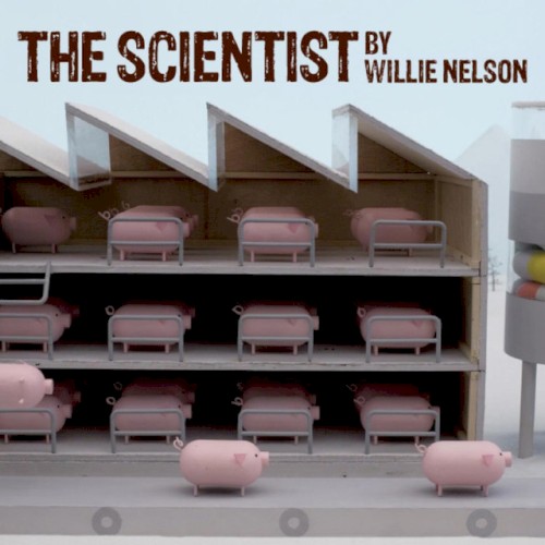 The Scientist