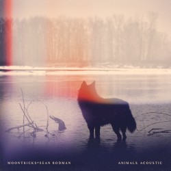 Animals (acoustic)