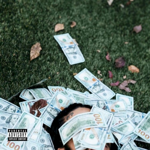 Money Counting