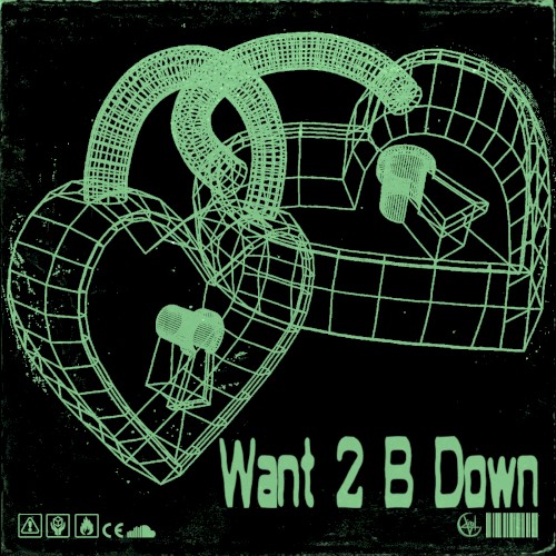 Want 2 B Down