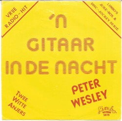 ’n Gitaar in de nacht