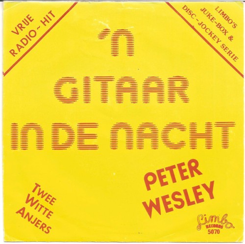 ’n Gitaar in de nacht