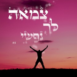הפרויקט החסידי - חלק א