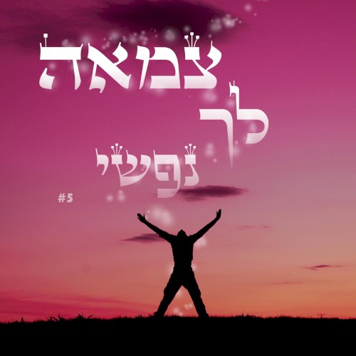 הפרויקט החסידי - חלק א