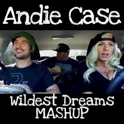 Wildest Dreams / Knockin' On Heaven's Door Mashup