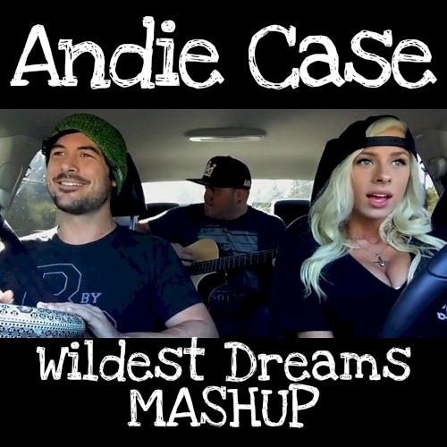 Wildest Dreams / Knockin' On Heaven's Door Mashup