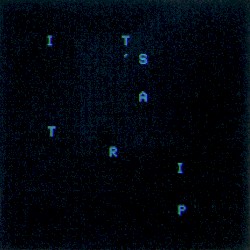 It’s a Trip!