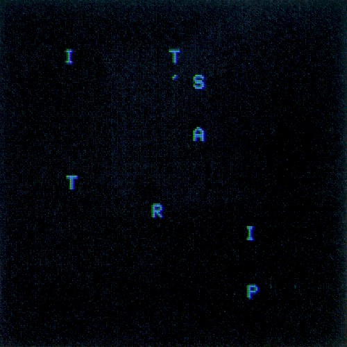 It’s a Trip!
