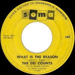 What Is The Reason
