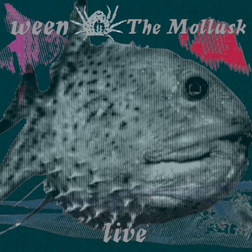 The Mollusk - Live