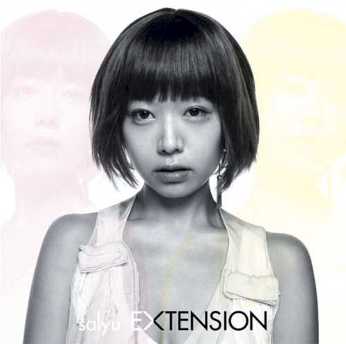 EXTENSION
