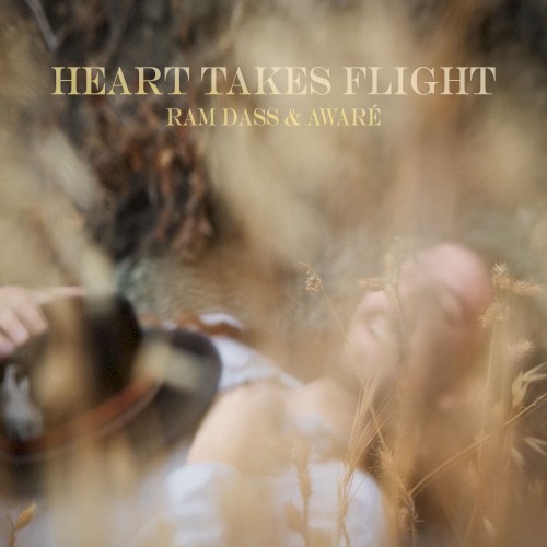 Heart Takes Flight