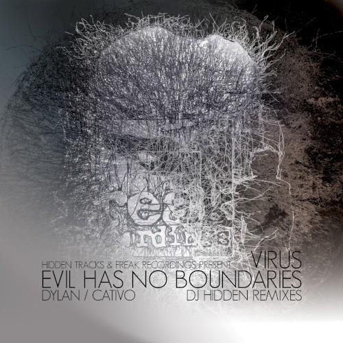 Virus / Evil Has No Boundaries (DJ Hidden Remixes)