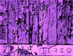 Cicadæ / Terzo Split