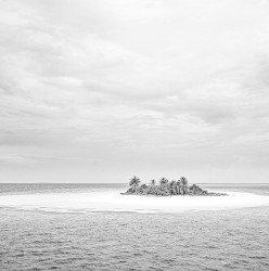 [untitled]