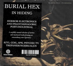 In Hiding