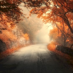 Yancey County