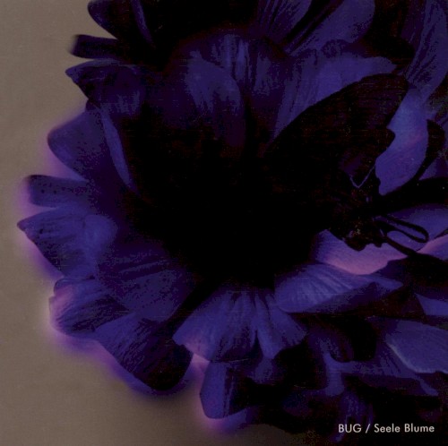 Seele Blume