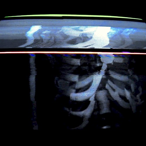 CARCASS (СКЕЛЕТ)