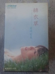 緋衣草