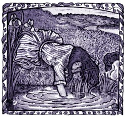 The Fall