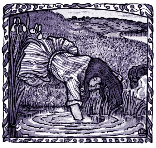 The Fall