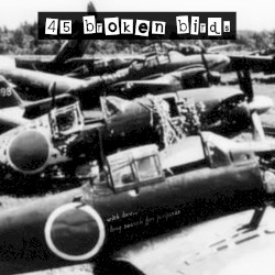 45 Broken Birds