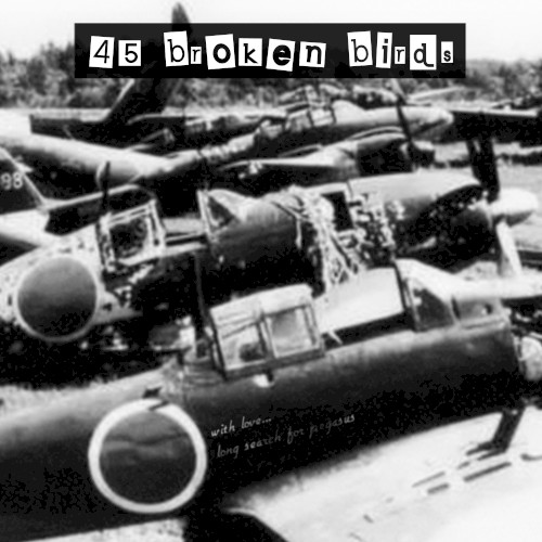45 Broken Birds