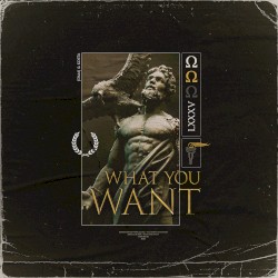 What You Want